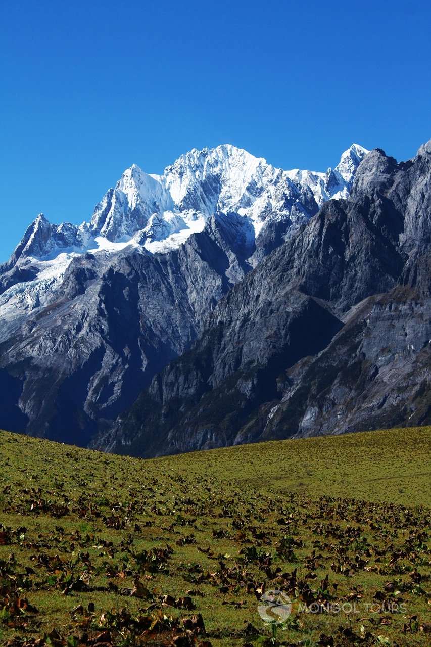 Mongol Tours