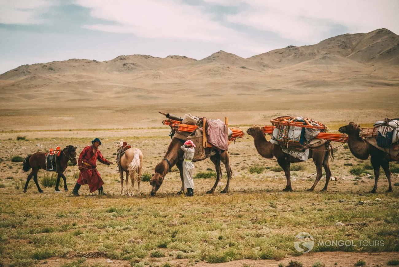Mongol Tours